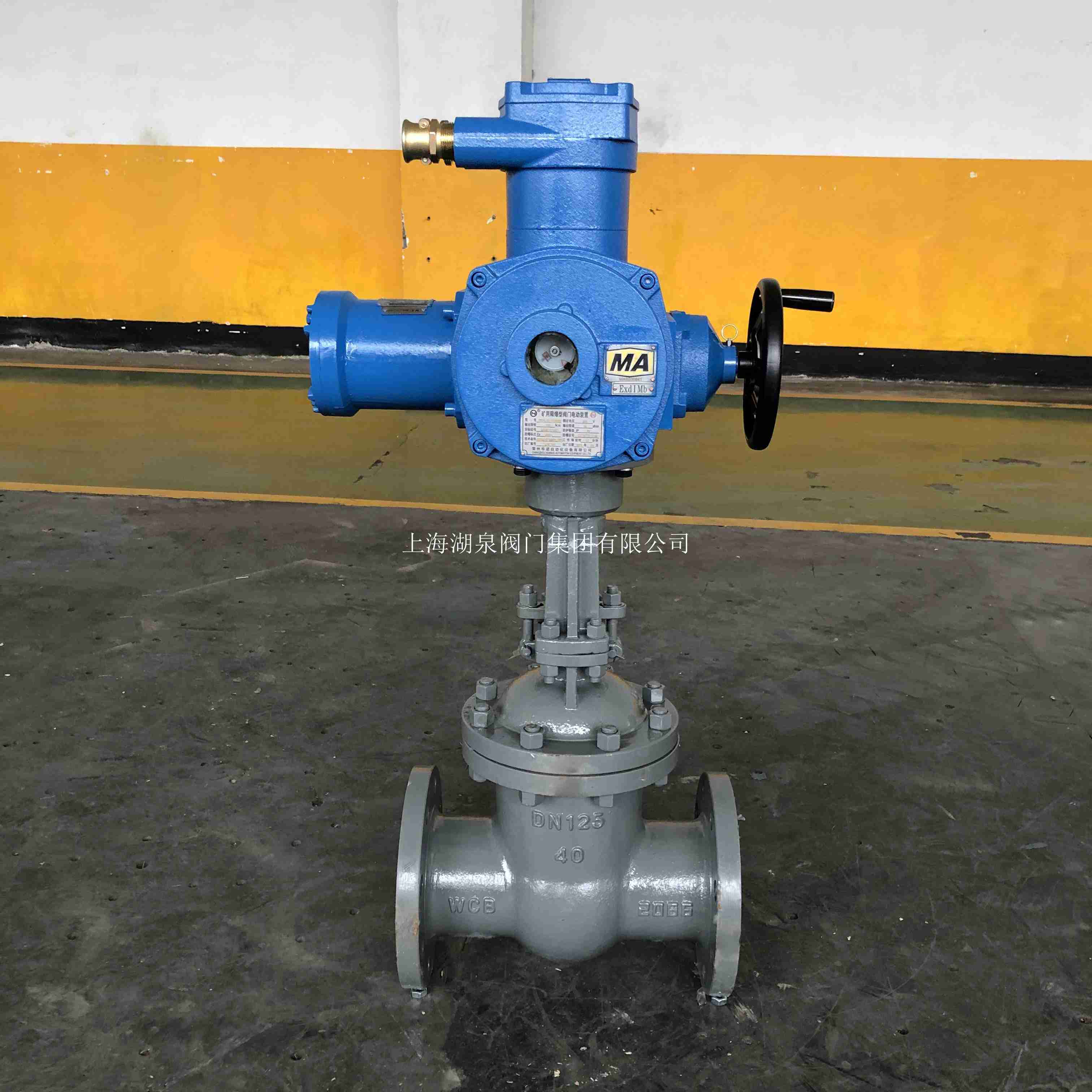 礦用電動(dòng)閘閥